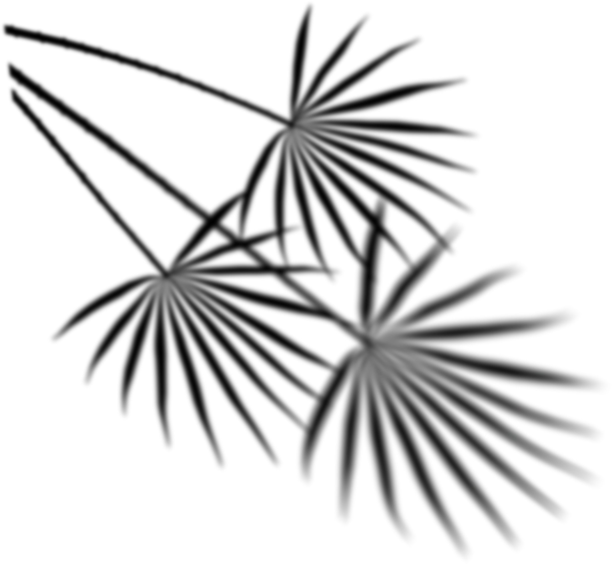 Palmenschatten als ruhiges Gestaltungselement im Stil der WissensMANUFAKTUR München